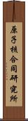 原子核合同研究所 Scroll