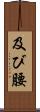 及び腰 Scroll
