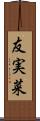友実菜 Scroll