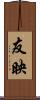 友映 Scroll