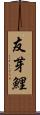 友芽鯉 Scroll