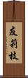 友莉枝 Scroll