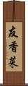 友香菜 Scroll