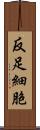 反足細胞 Scroll