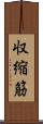 収縮筋 Scroll