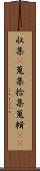 収集(P) Scroll