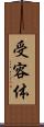 受容体 Scroll