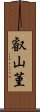 叡山菫 Scroll