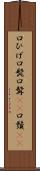 口ひげ Scroll