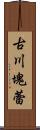 古川塊蕾 Scroll