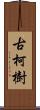 古柯樹 Scroll