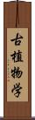 古植物学 Scroll