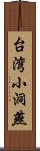 台湾小洞燕 Scroll