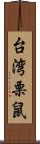 台湾栗鼠 Scroll