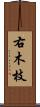 右木枝 Scroll