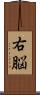 右脳 Scroll