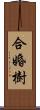 合婚樹 Scroll