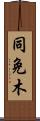 同免木 Scroll