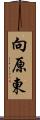 向原東 Scroll