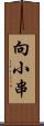 向小串 Scroll