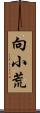 向小荒 Scroll