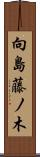向島藤ノ木 Scroll