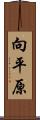 向平原 Scroll