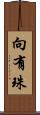 向有珠 Scroll