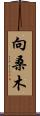 向桑木 Scroll