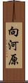 向河原 Scroll