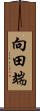 向田端 Scroll