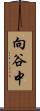 向谷中 Scroll