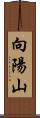 向陽山 Scroll