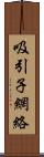 吸引子網絡 Scroll