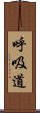 呼吸道 Scroll