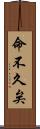 命不久矣 Scroll