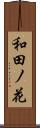 和田ノ花 Scroll