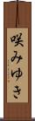 咲みゆき Scroll