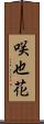 咲也花 Scroll