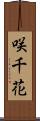 咲千花 Scroll
