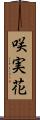 咲実花 Scroll