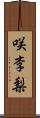 咲李梨 Scroll