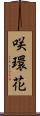 咲環花 Scroll