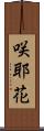 咲耶花 Scroll