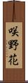 咲野花 Scroll