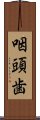 咽頭歯 Scroll
