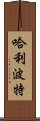 哈利·波特 Scroll