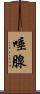 唾腺 Scroll