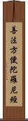 善法方便陀羅尼經 Scroll