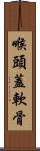 喉頭蓋軟骨 Scroll